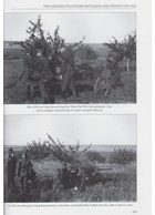 Sunwheels and Siegrunen - Wiking, Nordland, Nederland and the Germanic Waffen-SS in Photographs - Volume 1